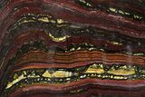 Polished Tiger Iron Stromatolite Slab - Billion Years #351881-1